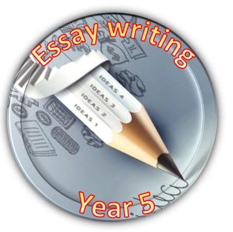 essayY5